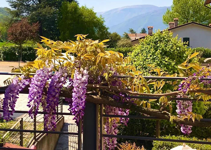 La Casa Del Glicine Tarzo