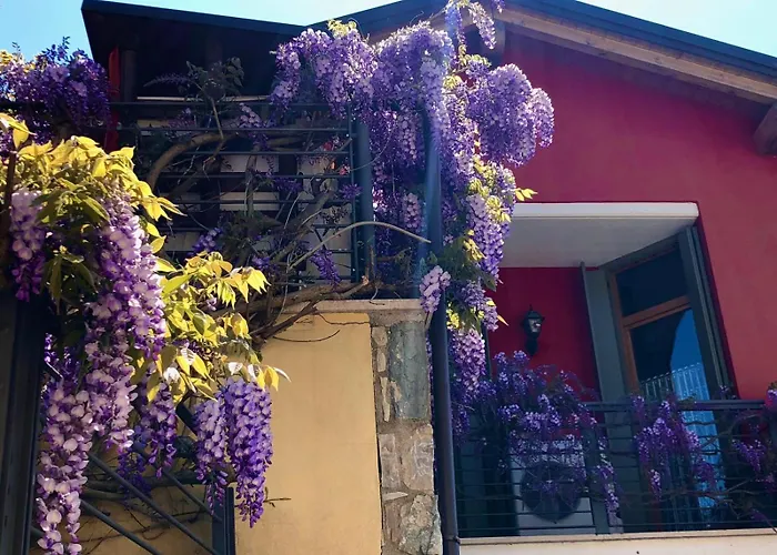 La Casa Del Glicine Tarzo