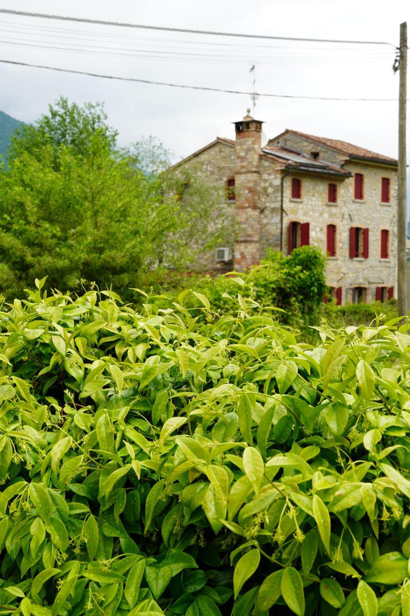 Alloggio in famiglia La Casa Del Glicine Tarzo Fratta (Treviso)