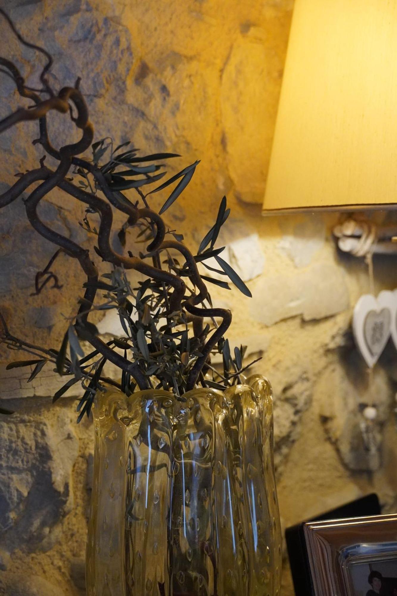 La Casa Del Glicine Tarzo Alloggio in famiglia